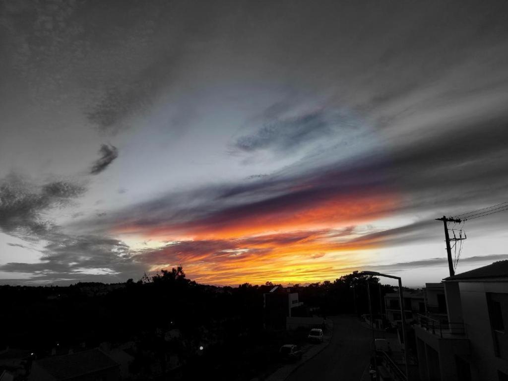 Casa Da Palmeira เซซิมบรา ภายนอก รูปภาพ
